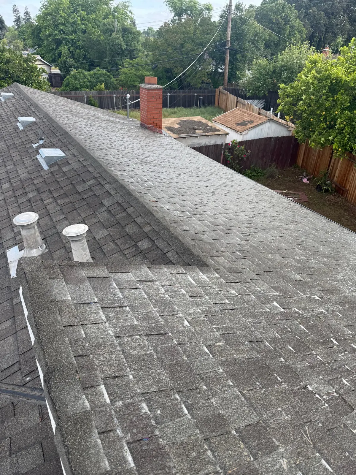 Composition shingle roof in Sacramento immediately after CSG applied its soft-wash treatment solution