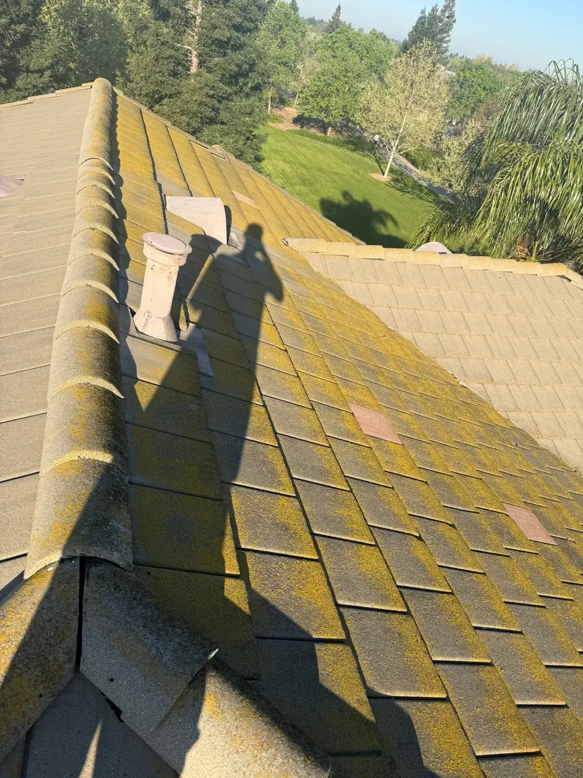 Roof covered in moss and organic growth before CSG soft-wash roof cleaning