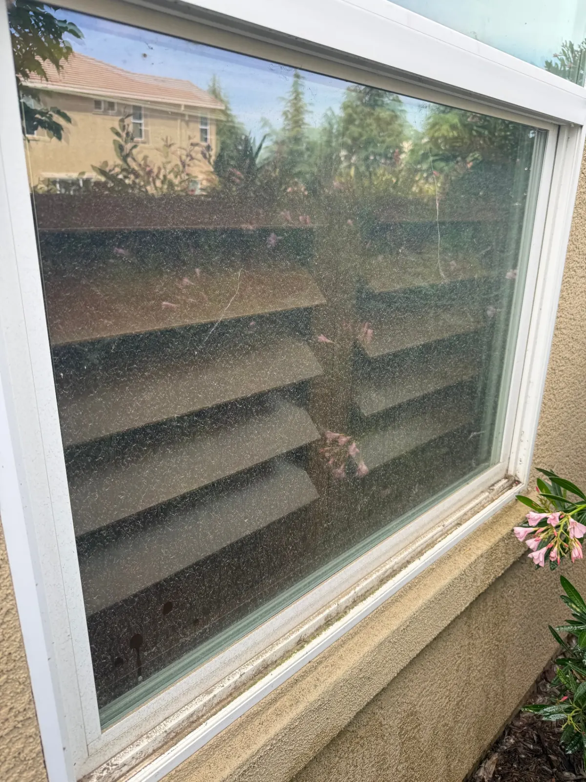 window cleaning — before photo taken by the CSG crew
