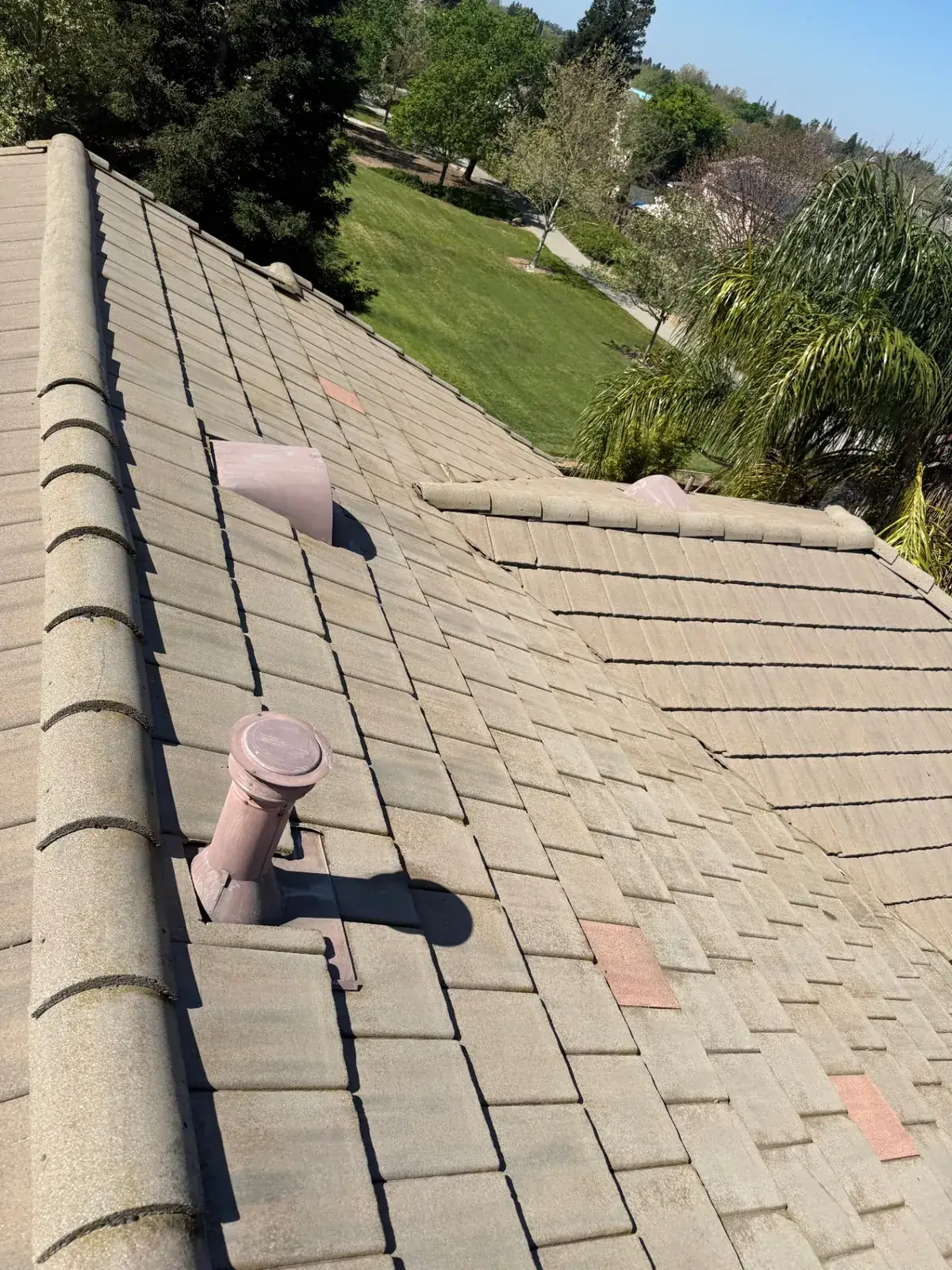 Same roof after CSG soft-wash roof cleaning and moss removal