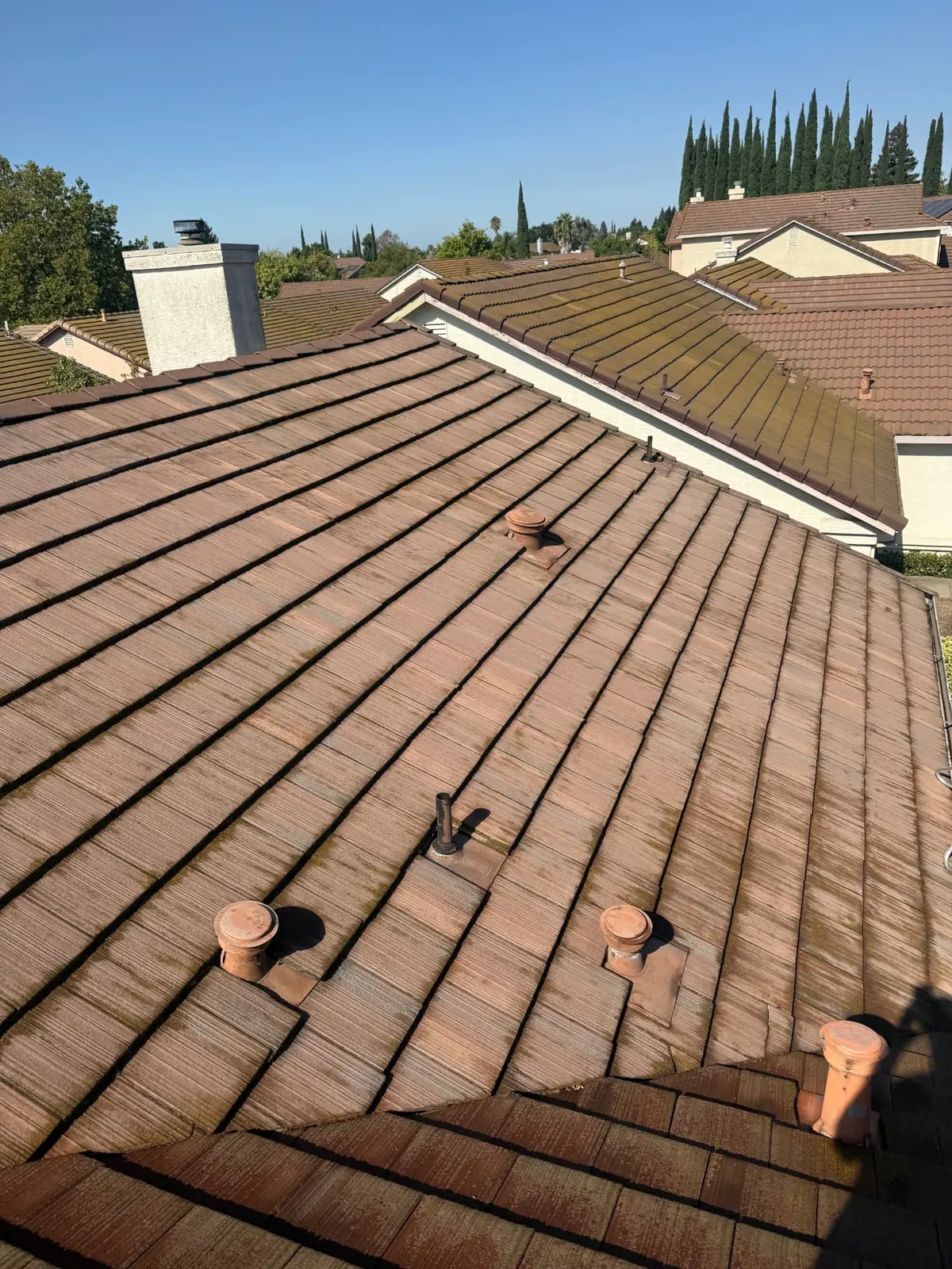 Concrete tile roof in Sacramento with moss and organic buildup between the tiles before cleaning