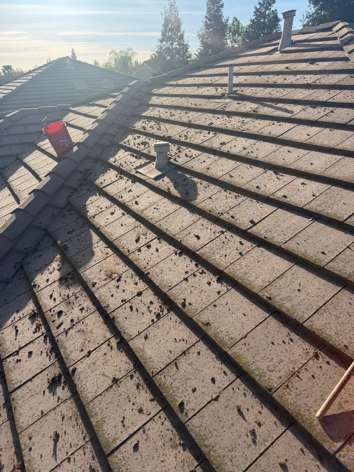 Concrete tile roof in Roseville right after CSG scrubbed the moss loose, with debris still sitting on the tiles