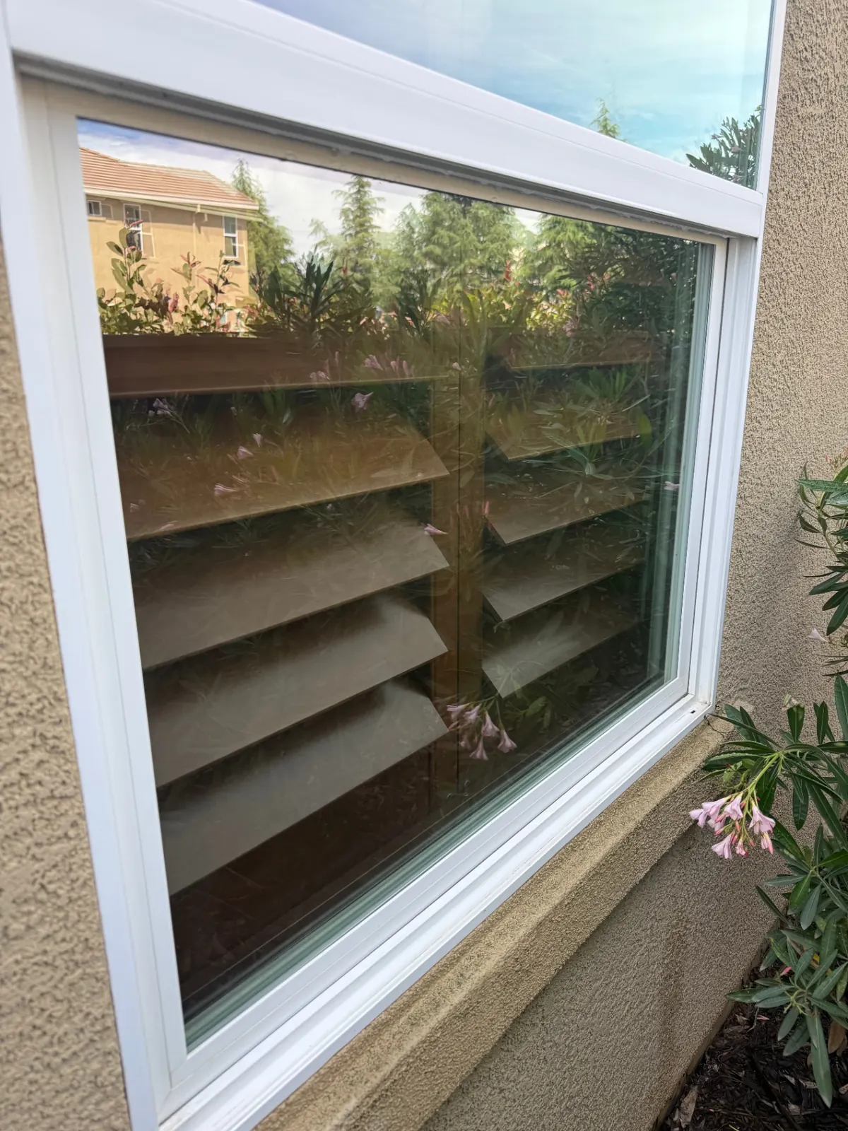 window cleaning — after photo taken by the CSG crew
